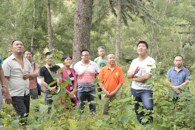 河北省木兰围场国有林场管理局营林科科长张二亮向调研组介绍森林经营情况