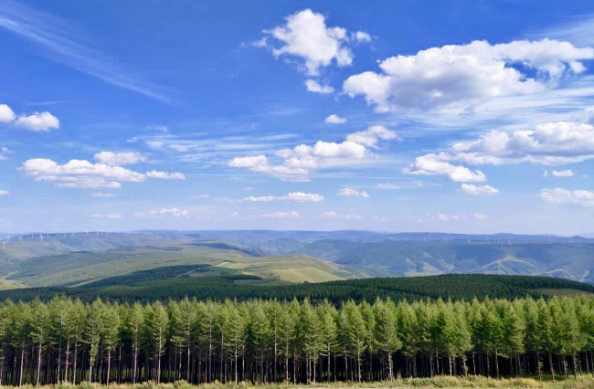 �ֵĺ����ƵĹ���&mdash;�����ӻ�е�ֳ�